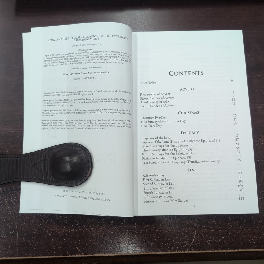 Abingdon Theological Companion to the Lectionary Preaching Year B Paul S. Wilson - Picture 3 of 3